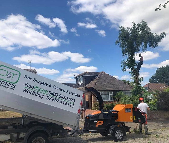 D&T Tree Surgery Ltd